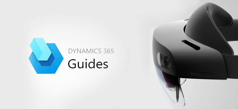 Find out more about MS Dynamic Guides